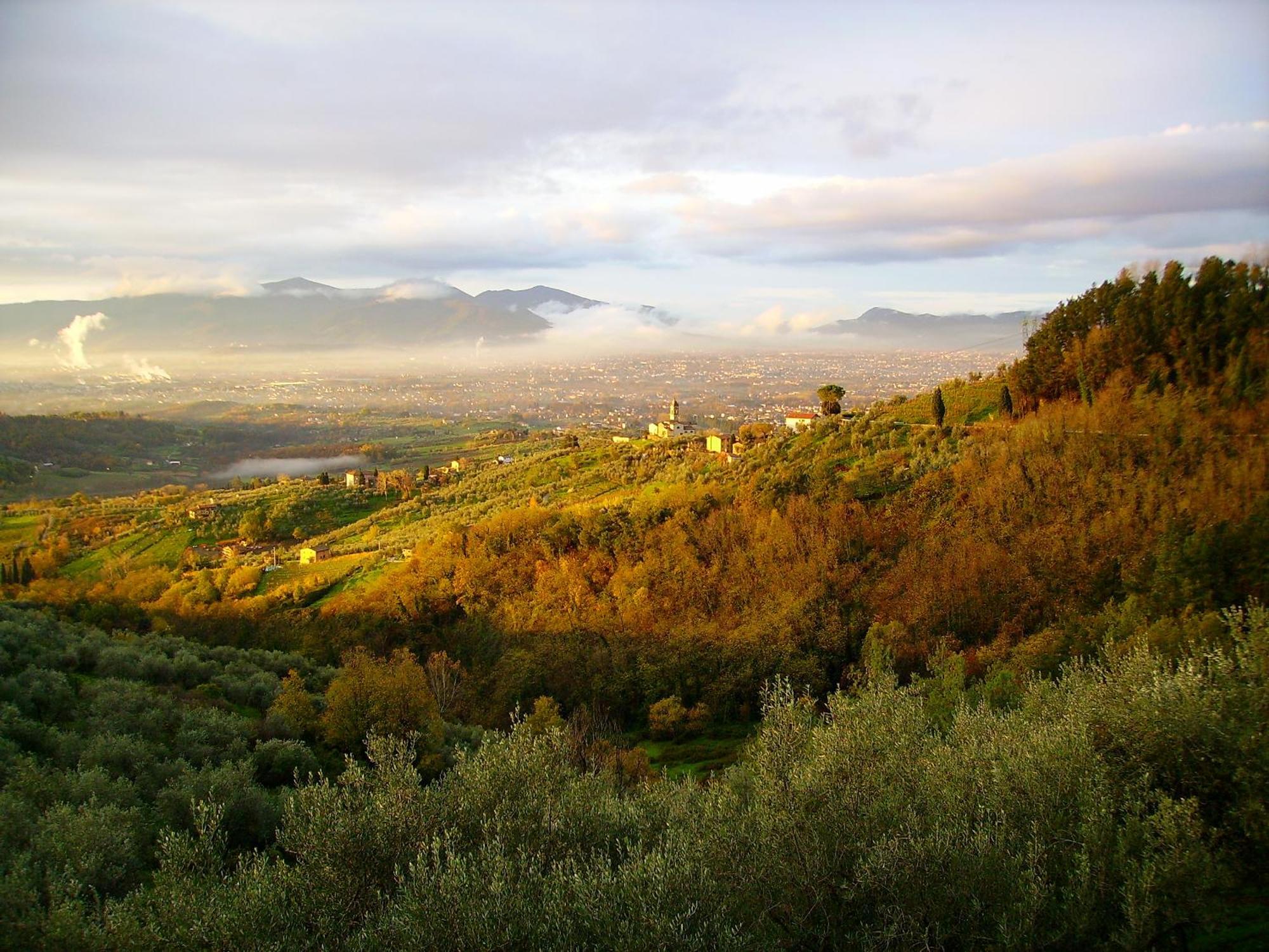 Fattoria Gambaro Di Petrognano Vila Collodi Exterior foto