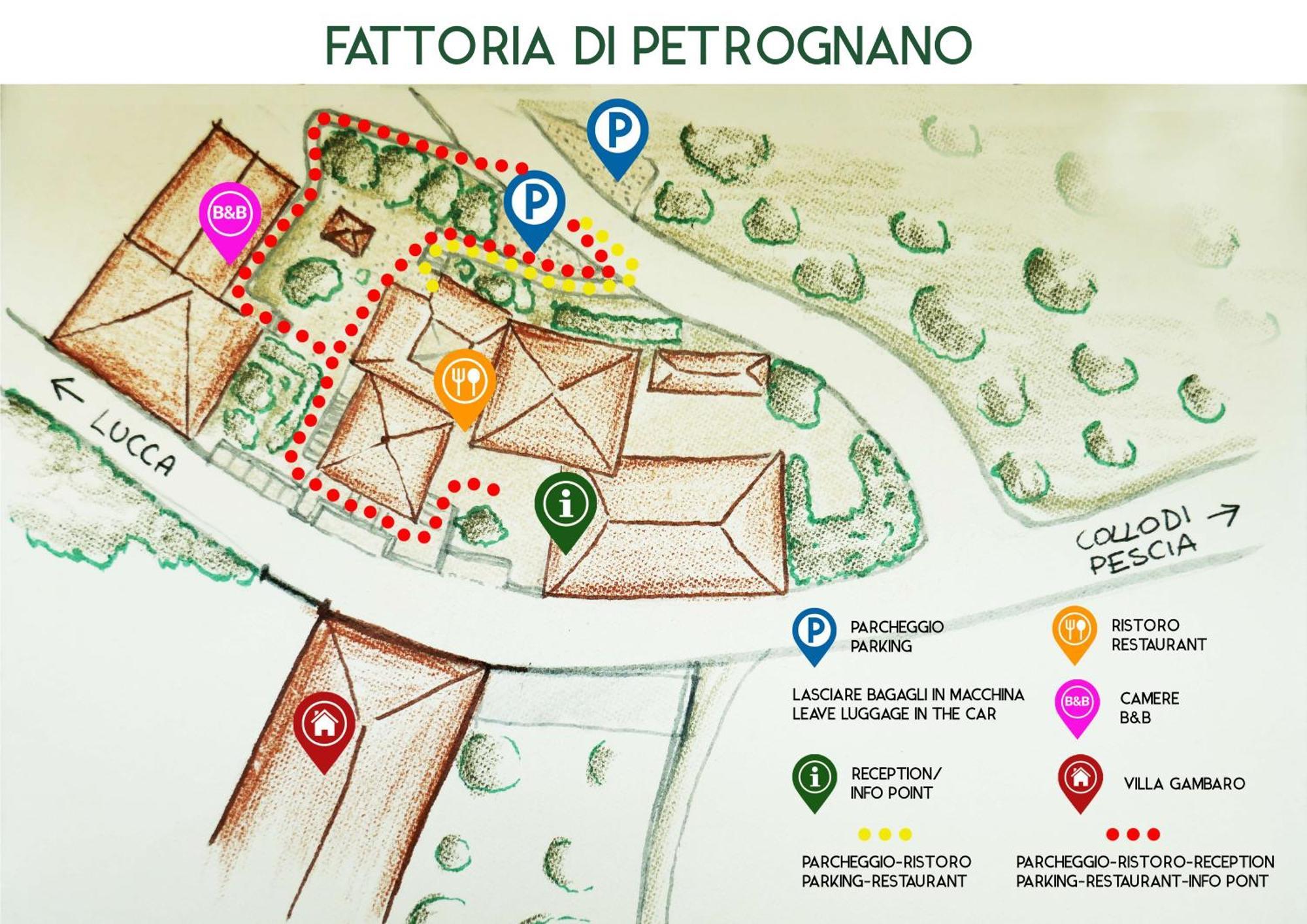 Fattoria Gambaro Di Petrognano Vila Collodi Exterior foto