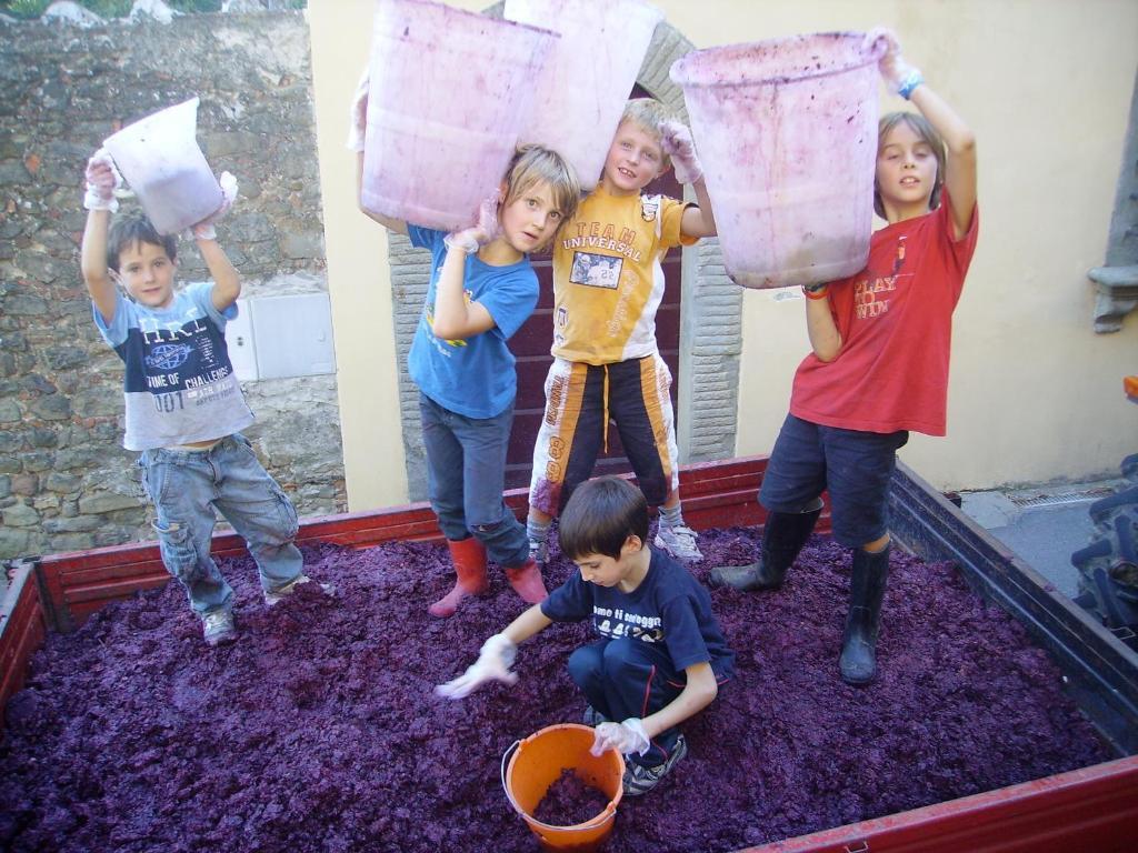 Fattoria Gambaro Di Petrognano Vila Collodi Exterior foto