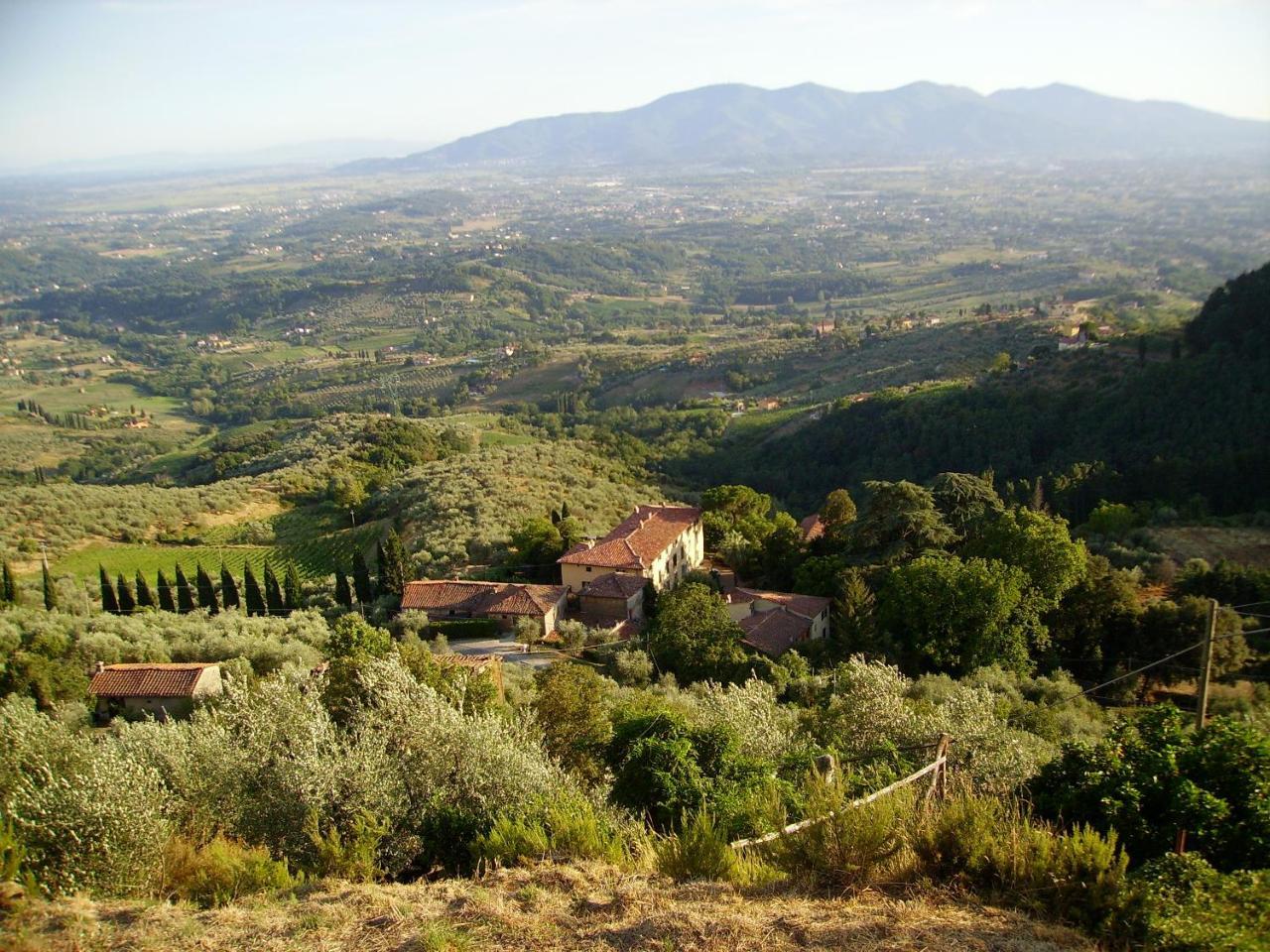 Fattoria Gambaro Di Petrognano Vila Collodi Exterior foto